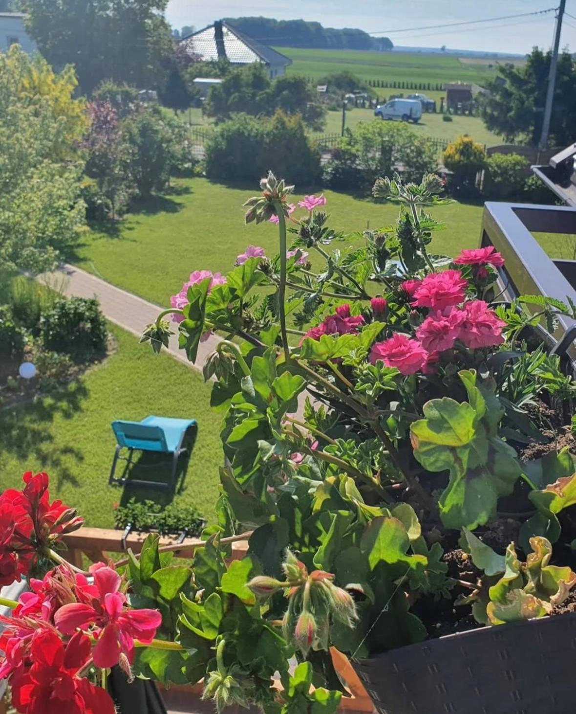 Apartamenty Na Baltyckiej Choczewo Bagian luar foto