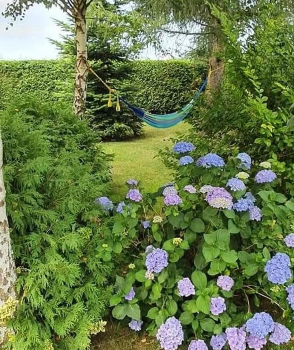Apartamenty Na Baltyckiej Choczewo Bagian luar foto